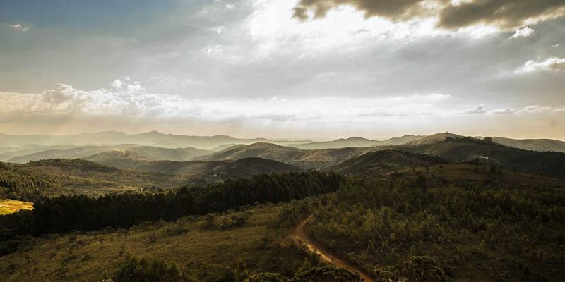 从能耗大户到绿色标杆：广东金鹰节能服务如何助力三大行业实现可持续发展
