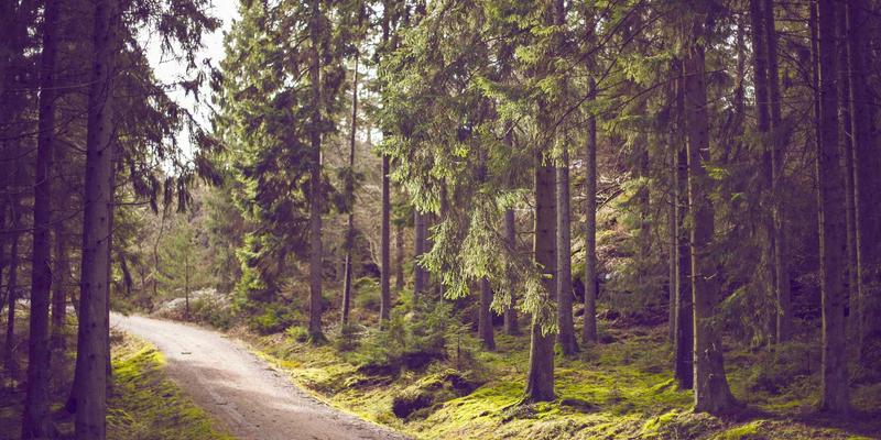 智慧能源新纪元：探秘广东金鹰如何用AI云平台重塑能效管理