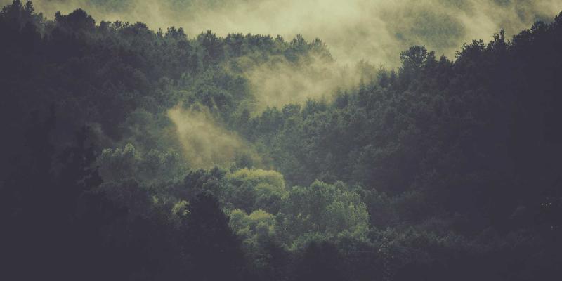 破局高耗能：广东金鹰节能如何以创新方案驱动制造业“双碳”转型与能效对标