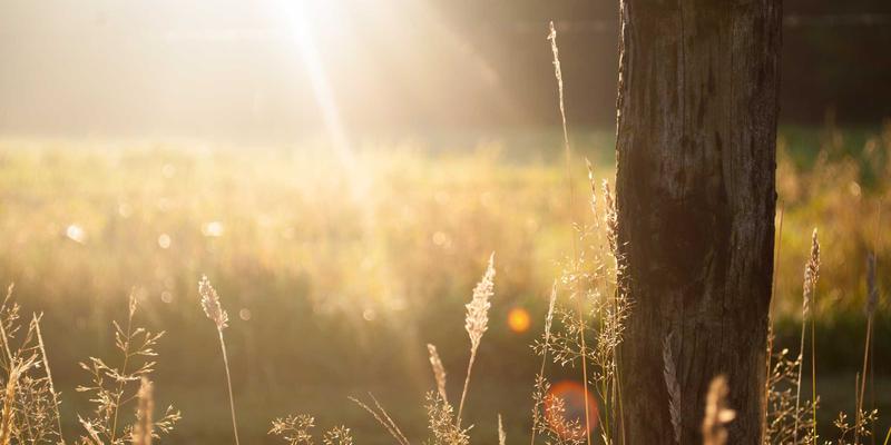 磁悬浮技术驱动地铁绿色革命：广东金鹰节能如何为地铁通风系统降耗40%以上