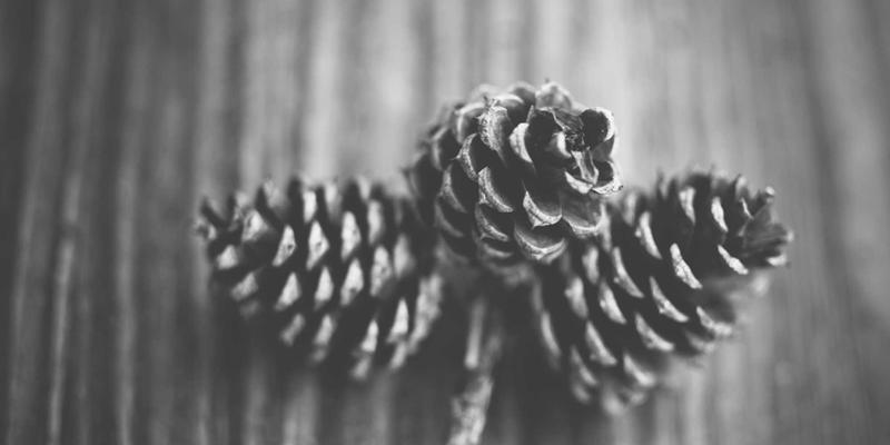 精准控温与绿色节能的完美平衡：广东金鹰节能在生物制药洁净厂房的环境控制革命