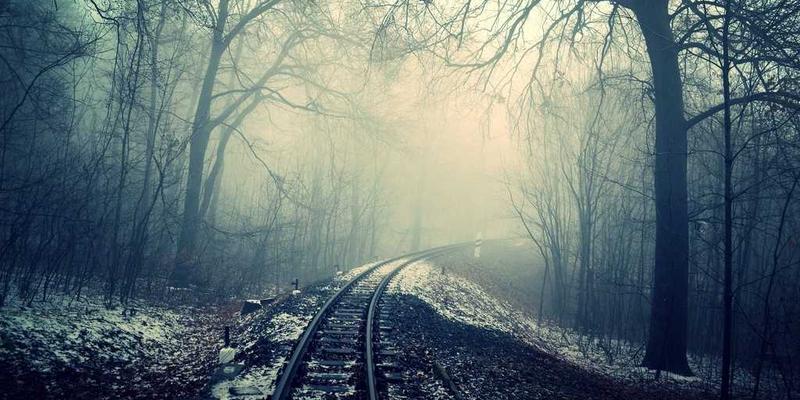 精明投资，绿色未来：三步精准评估广东金鹰节能产品的能效与投资回报率